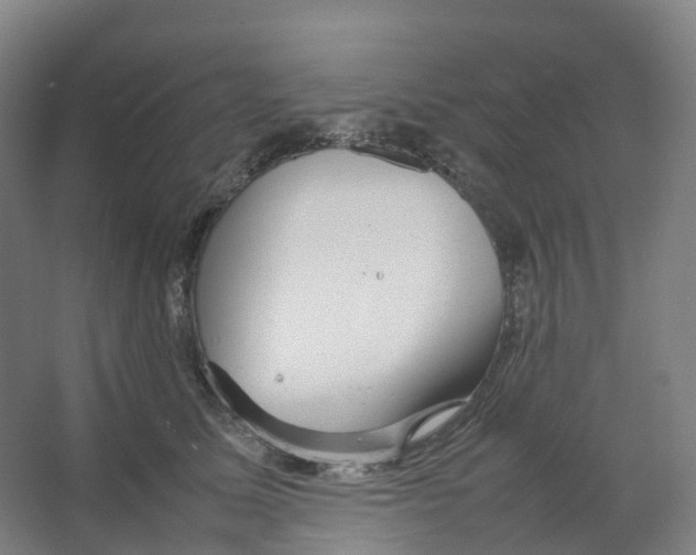 X0000066500611200604141724