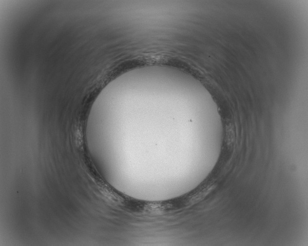 X0000066500613200604141724