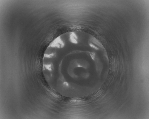 X0000066500614200604141724