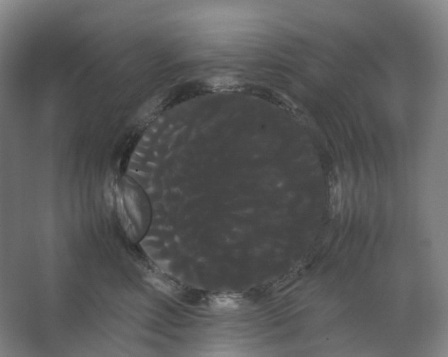 X0000066500618200604141724