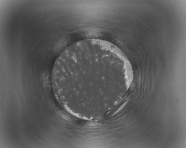 X0000066500619200604141724