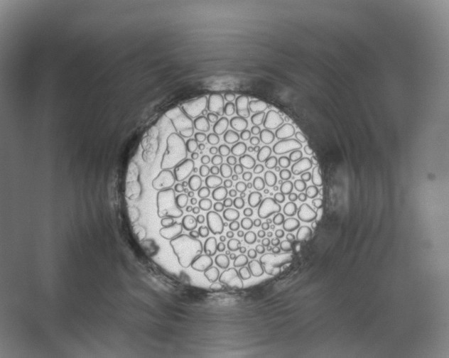 X0000066500620200604141724