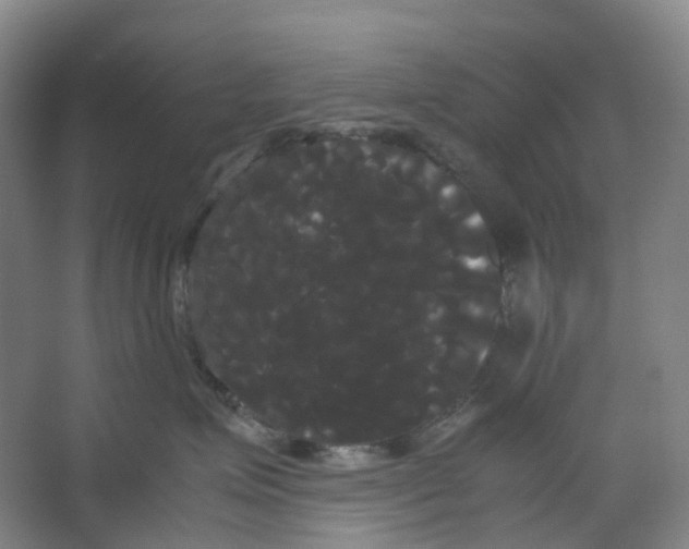 X0000066500623200604141724
