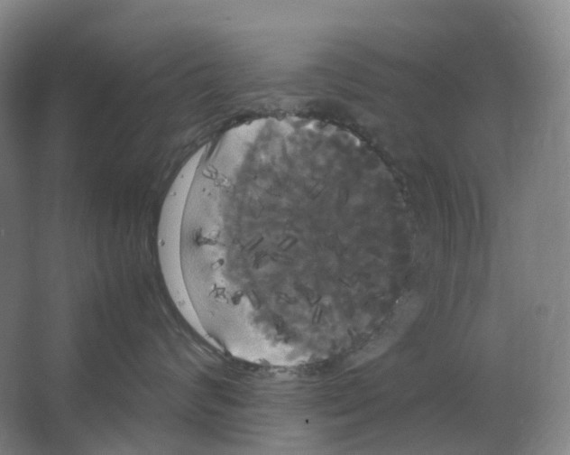 X0000066500624200604141724