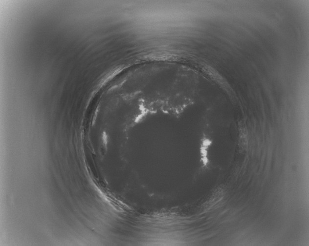 X0000066500626200604141723