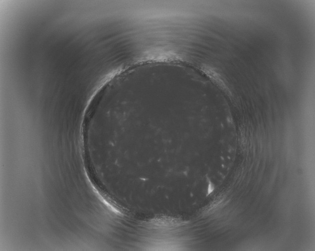X0000066500630200604141723