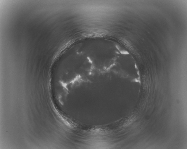 X0000066500634200604141723