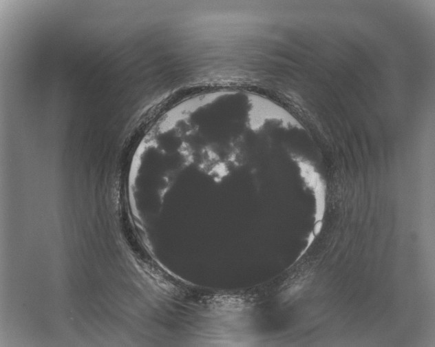 X0000066500640200604141723