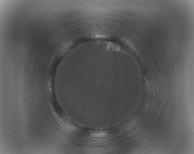 X0000066500643200604141723