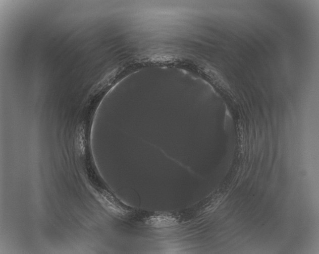 X0000066500644200604141723