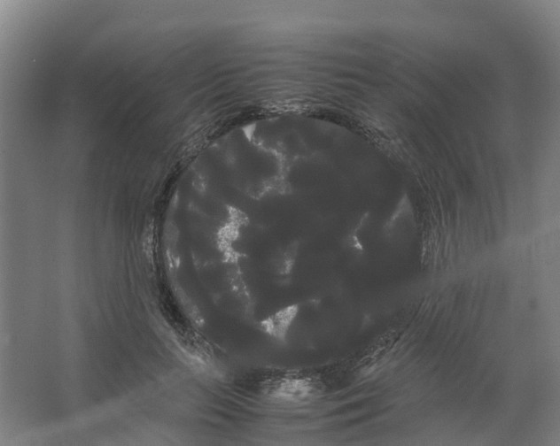X0000066500647200604141723