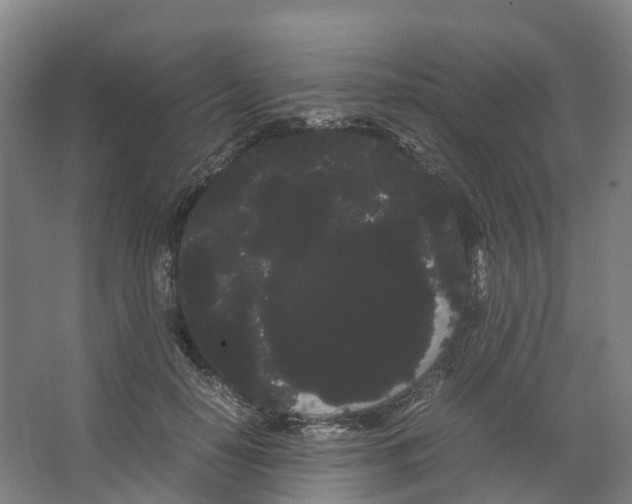 X0000066500650200604141723