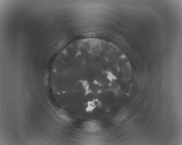 X0000066500652200604141723