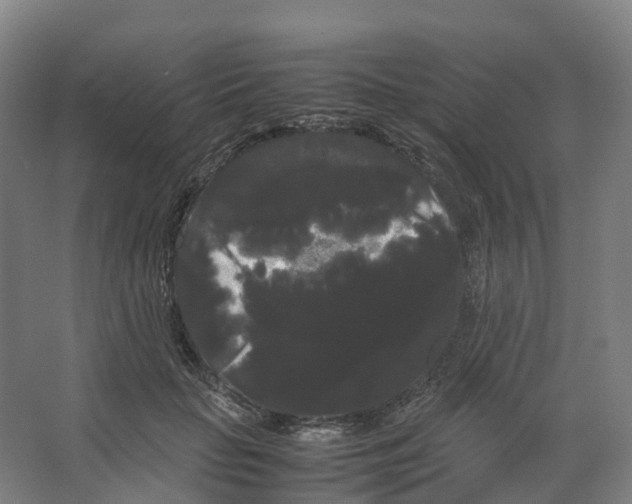 X0000066500653200604141723