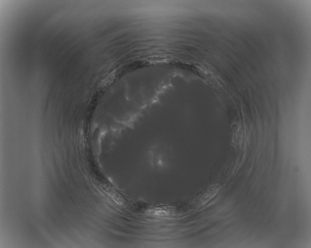 X0000066500655200604141723