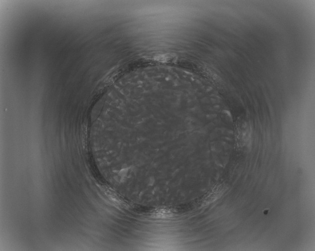 X0000066500656200604141723