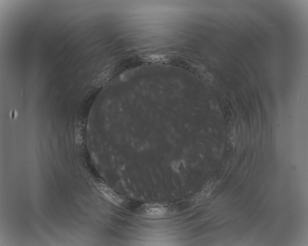 X0000066500658200604141724