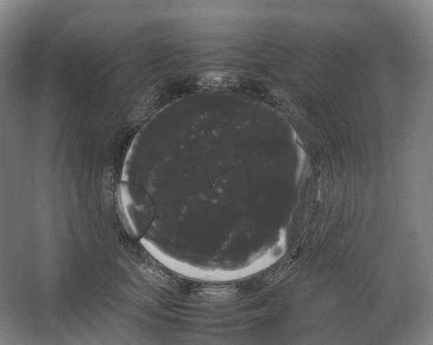 X0000066500659200604141724