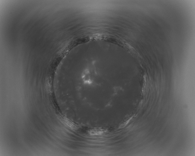 X0000066500661200604141724