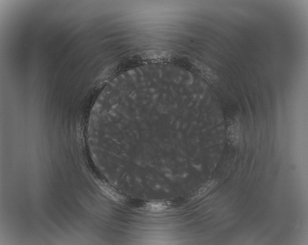 X0000066500662200604141724