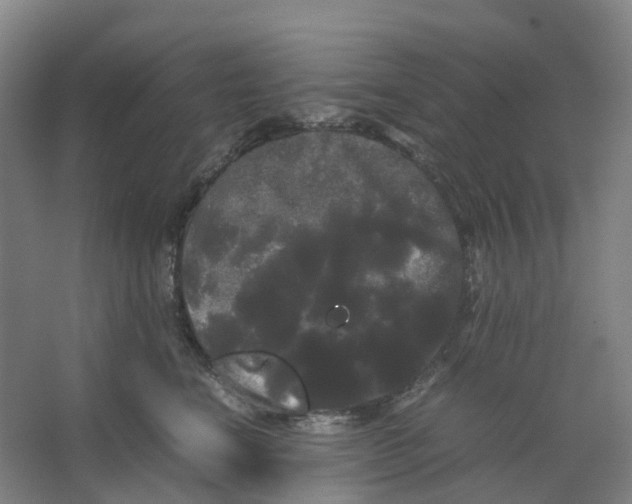 X0000066500664200604141724