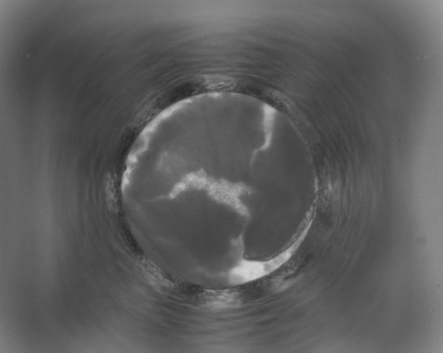 X0000066500667200604141724