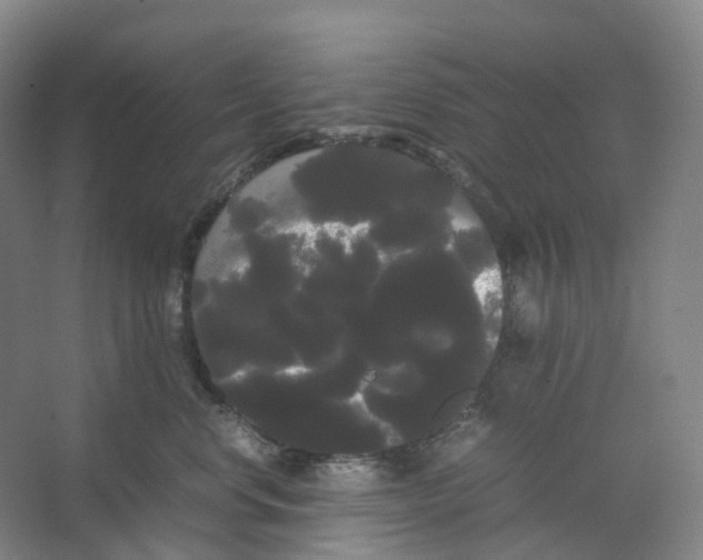 X0000066500668200604141724