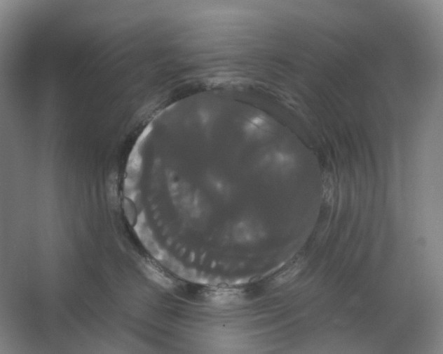 X0000066500670200604141724