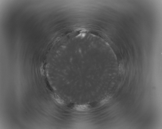 X0000066500671200604141724