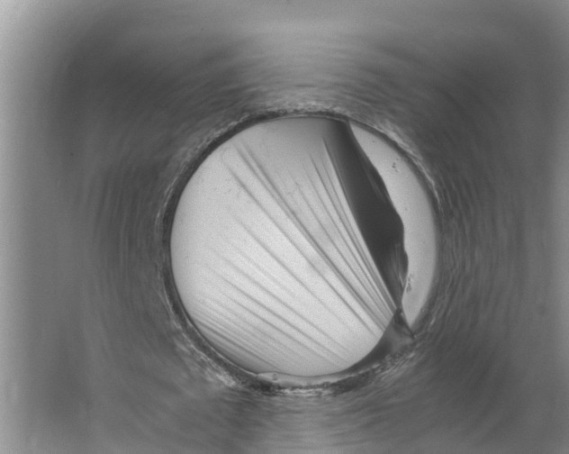 X0000066500673200604141723