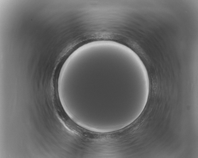 X0000066500674200604141723