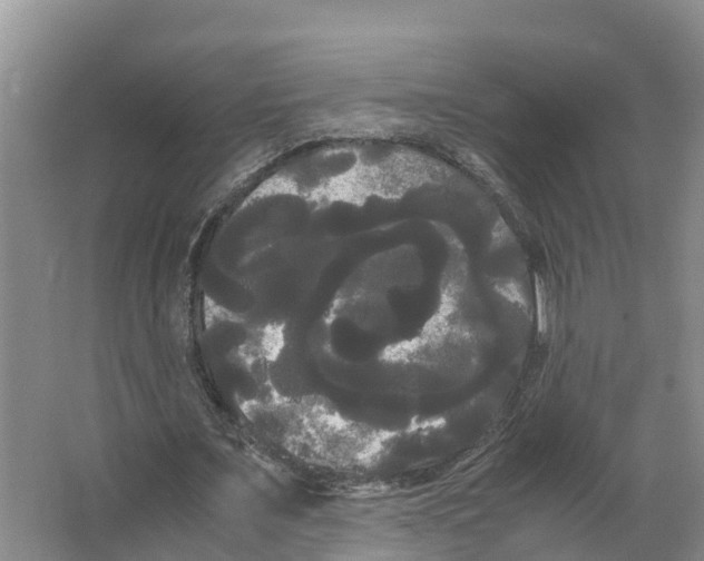 X0000066500675200604141723