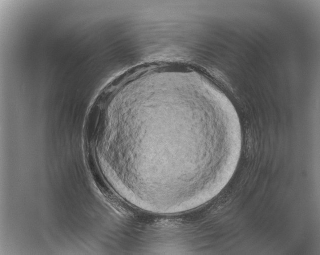 X0000066500680200604141723