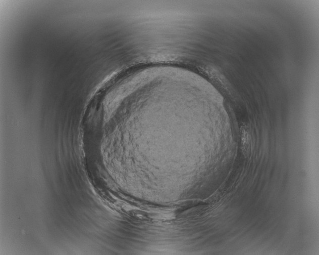 X0000066500684200604141723
