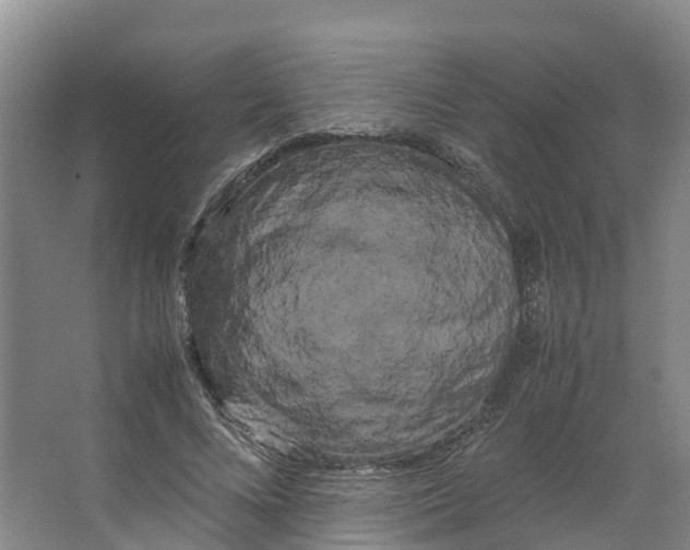 X0000066500688200604141723