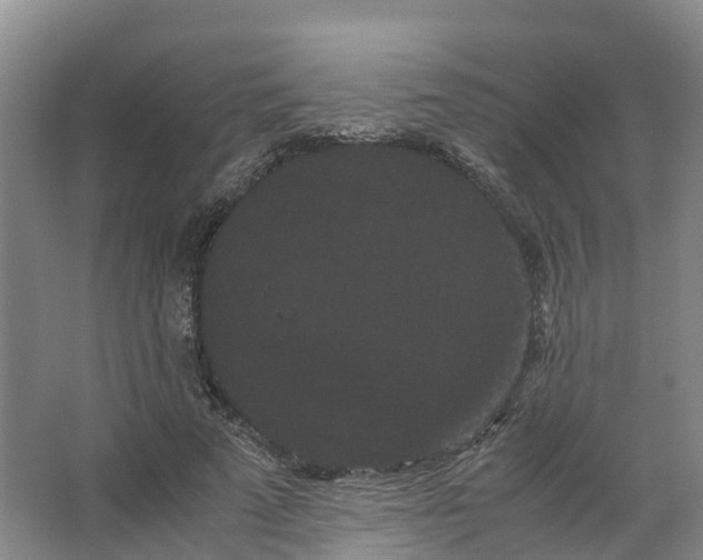 X0000066500689200604141723