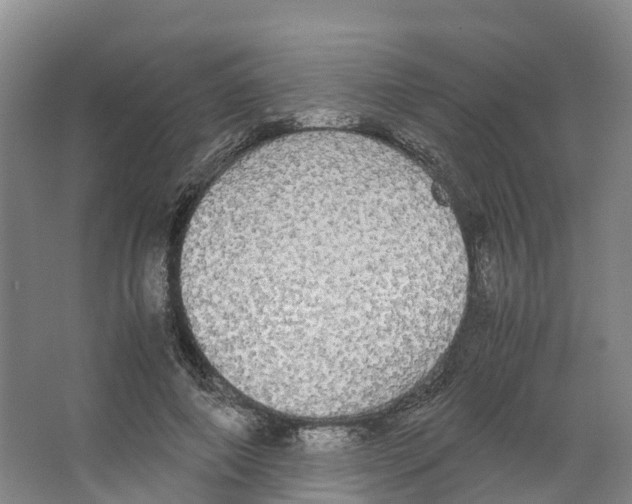 X0000066500690200604141723