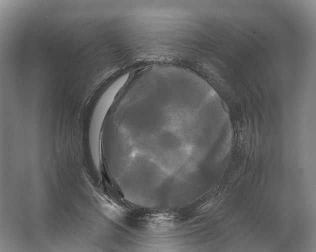 X0000066500692200604141723
