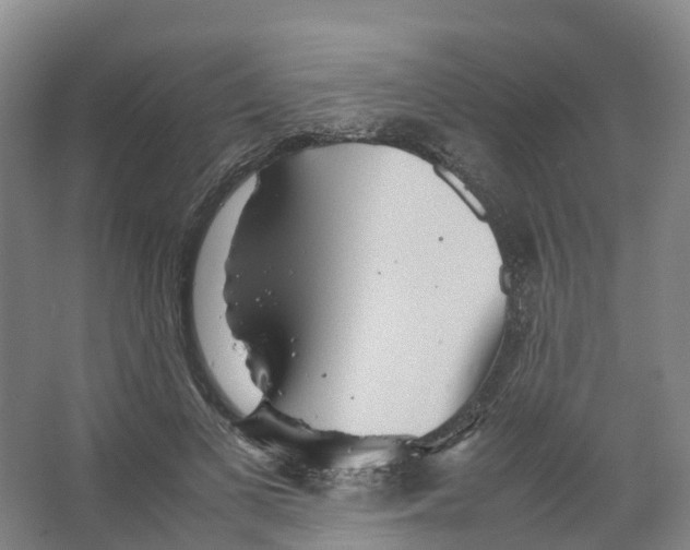 X0000066500693200604141723