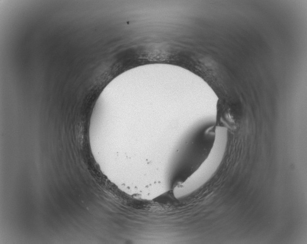 X0000066500697200604141723