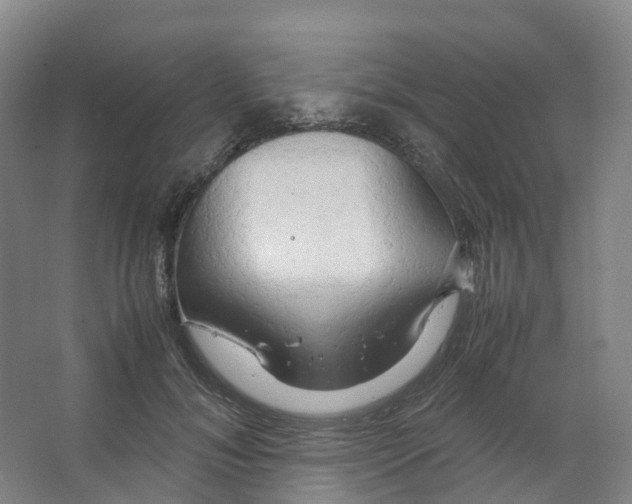 X0000066500700200604141722