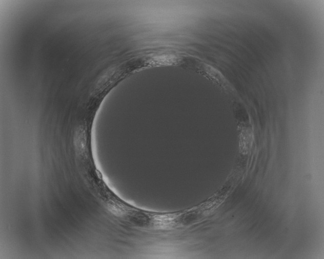 X0000066500701200604141722
