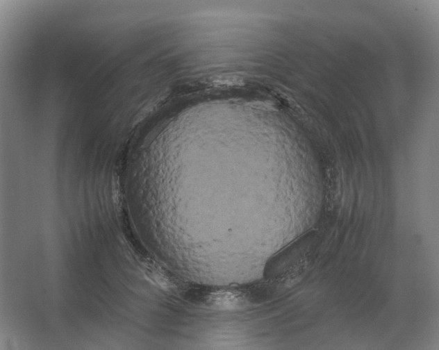 X0000066500704200604141722