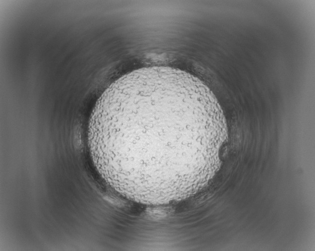 X0000066500706200604141722