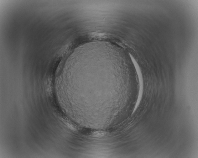 X0000066500708200604141722
