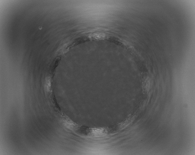 X0000066500709200604141722