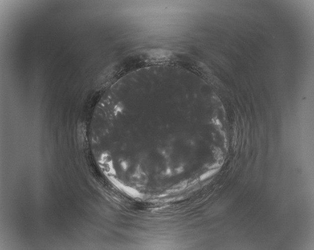 X0000066500711200604141722