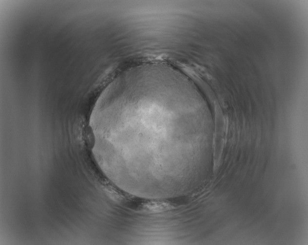 X0000066500712200604141722