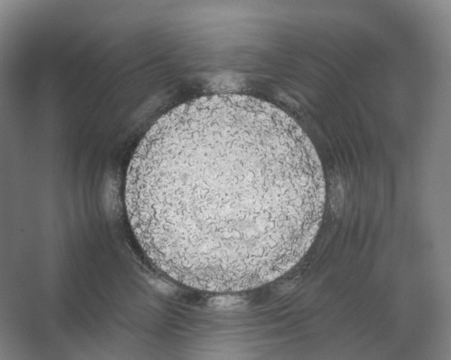 X0000066500714200604141722