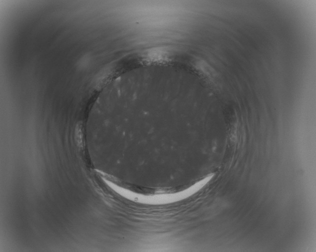 X0000066500715200604141722